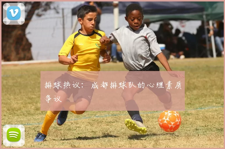 排球热议：成都排球队的心理素质争议