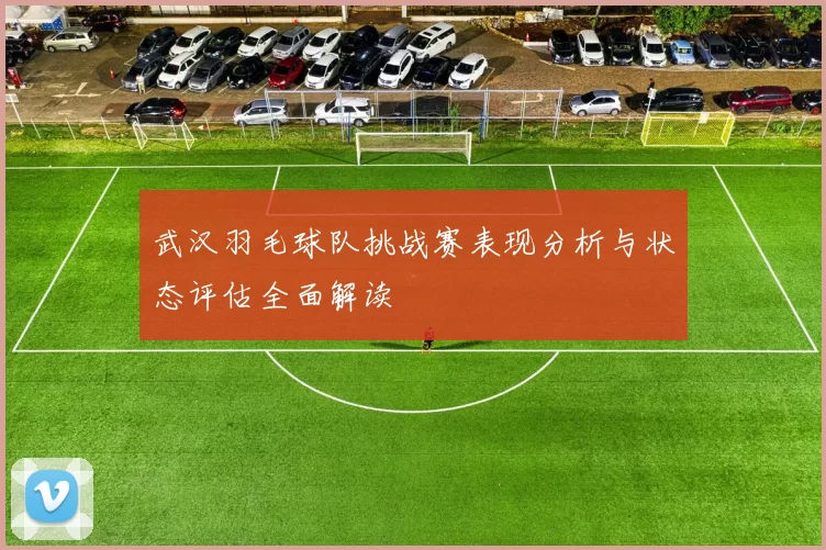 武汉羽毛球队挑战赛表现分析与状态评估全面解读