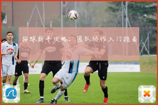 排球新手攻略：团队协作入门指南