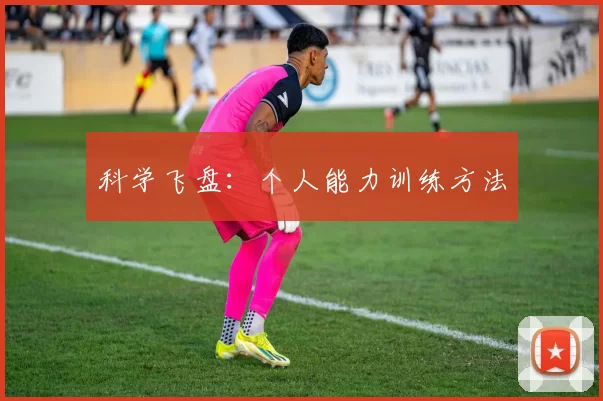 科学飞盘：个人能力训练方法