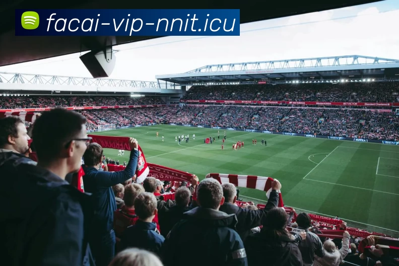 乐竞体育注册平台生态图